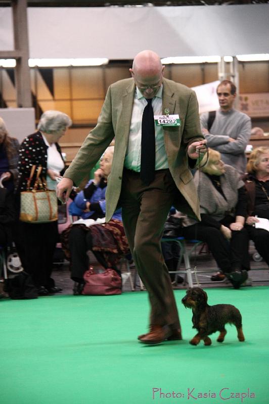 Crufts2011_2 1147.jpg